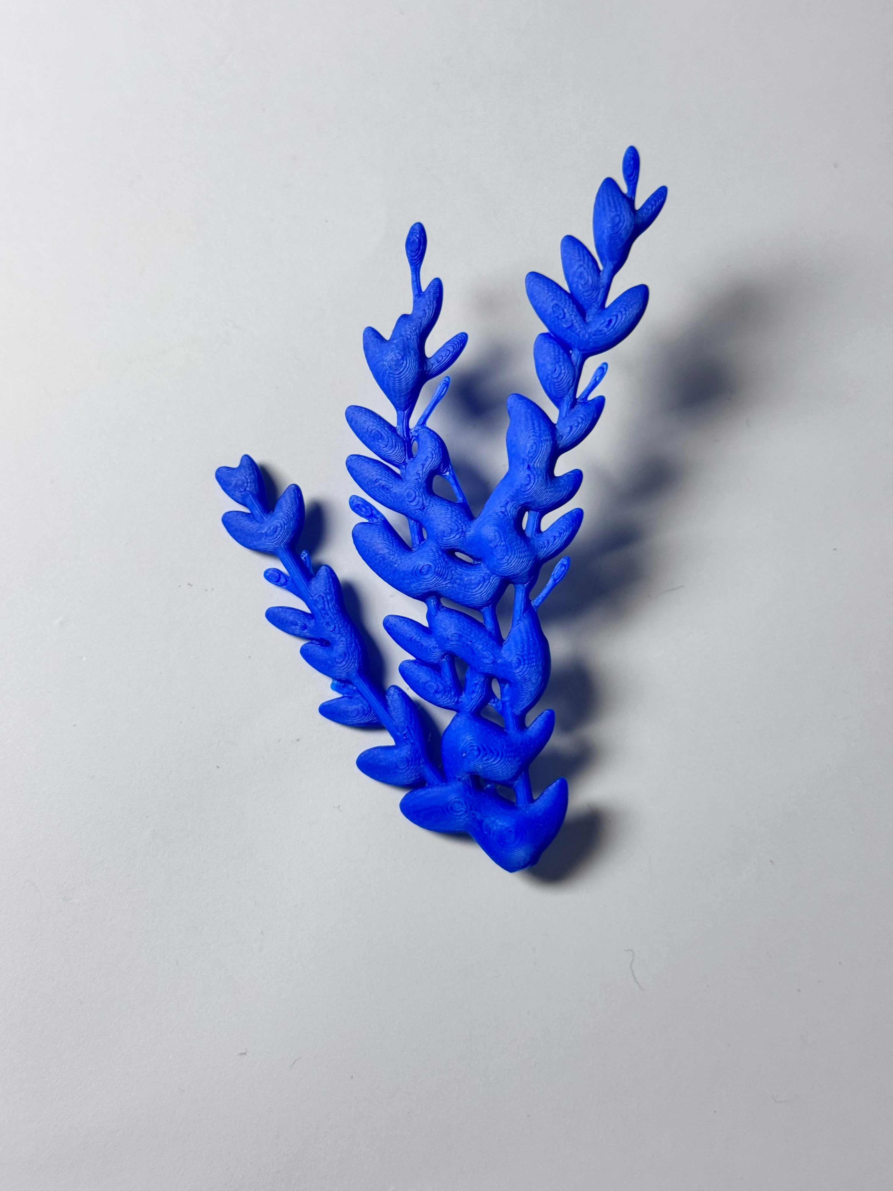 "Laurel" Matisse Series Earrings